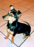 Frida