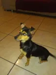Frida