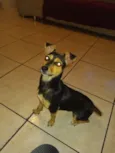 Frida