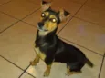 Frida