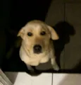Molly