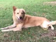 Eddie