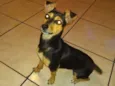 Frida