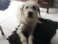 Baruque 