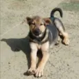Athos