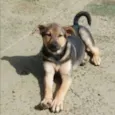 Athos