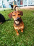 Zeca