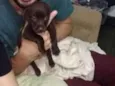 Marley
