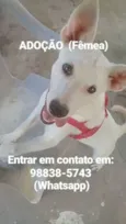 Tequila 