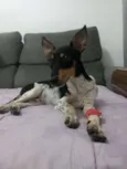 Não sei 