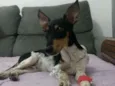 Não sei 