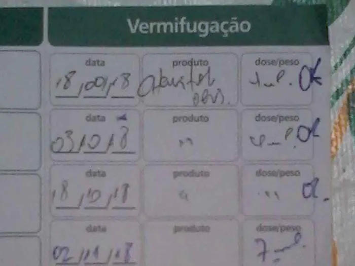 Cachorro ra a Rottweiler idade 7 a 11 meses nome Traquinas Fofa