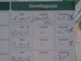 Traquinas Fofa