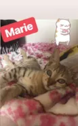 Marie