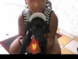 Bob