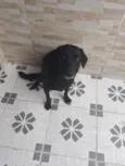 Princesa