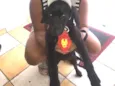 Bob
