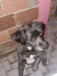 Luck