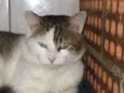 Félix