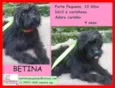 Betina Pequena