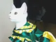 LUPITA