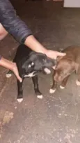 lindos