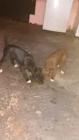 lindos