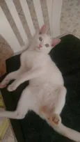 CHARLES