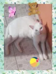 CHARLES
