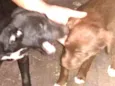 lindos
