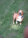 GLORIA