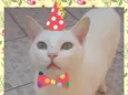CHARLES