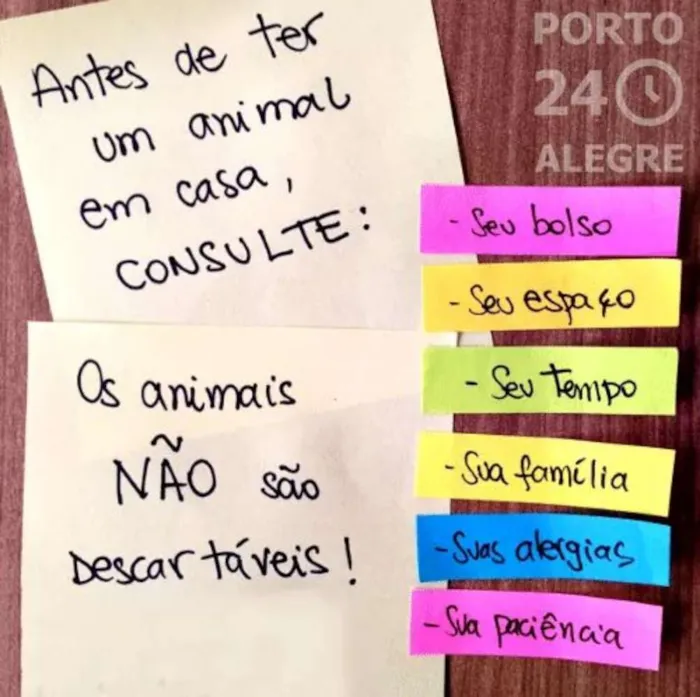 Gato ra a Sem raça definida idade 1 ano nome GAYA