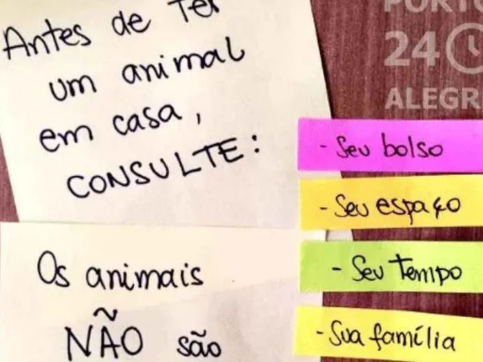 Gato ra a Sem raça definida idade 1 ano nome GAYA
