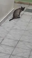 Nina 