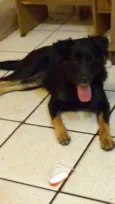 Nina