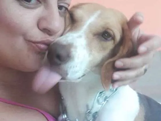 Cachorro raça Srd idade 2 anos nome Mel