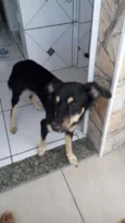 Billy