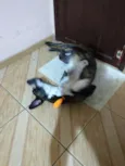 Max