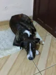 Max
