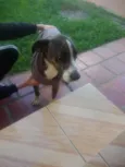 Max