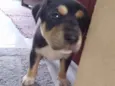 Não tem nome ainda