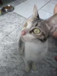 Sol