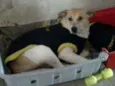 Frida
