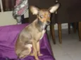Lucy