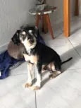 Tobias
