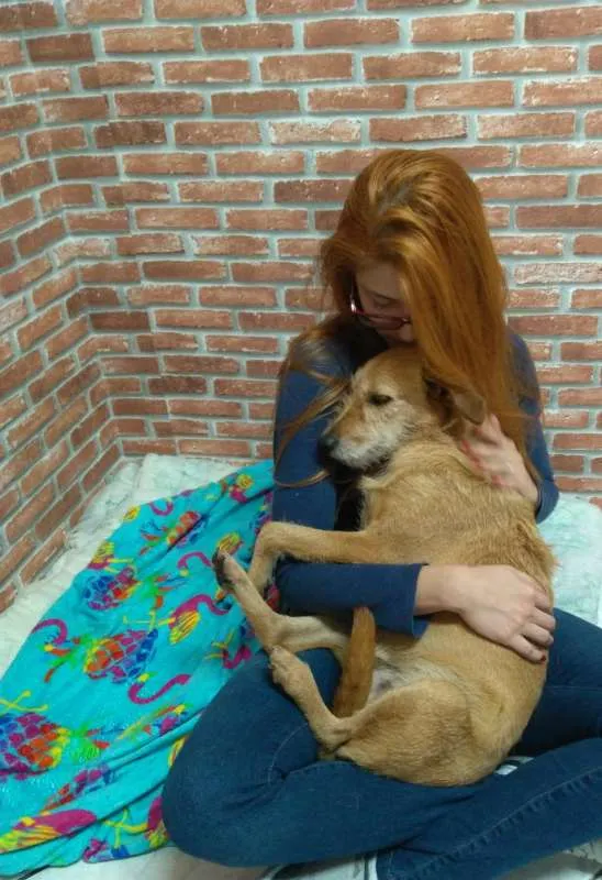 Cachorro ra a SRD idade 2 anos nome LÉIA