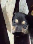 Spike