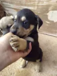 Spike