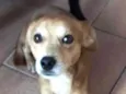 Bidu